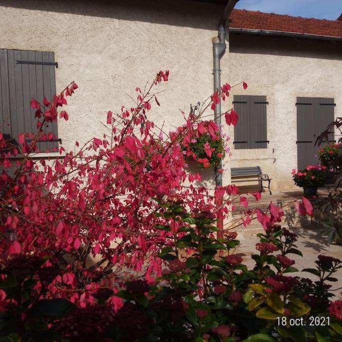 Maison Aux Portes Du Centre Historique De Dijon Avec 3 Chambres Et Garage Bagian luar foto